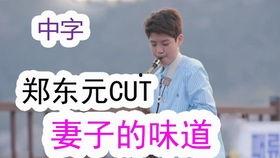 味道中文 在线观看,在线观看“味道中文”美食盛宴  第3张